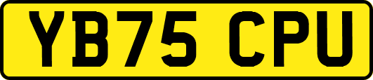 YB75CPU