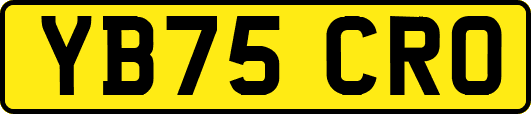 YB75CRO