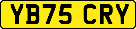 YB75CRY