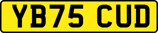 YB75CUD