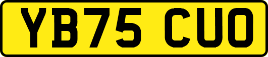 YB75CUO