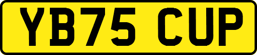 YB75CUP