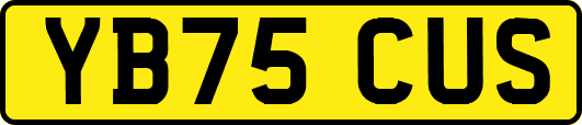 YB75CUS
