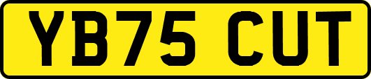 YB75CUT