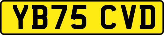 YB75CVD