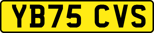YB75CVS