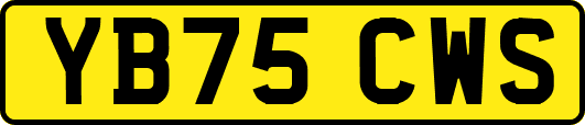 YB75CWS