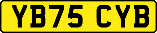 YB75CYB