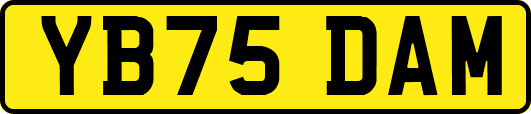 YB75DAM