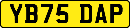 YB75DAP