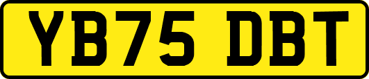 YB75DBT