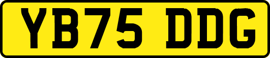 YB75DDG