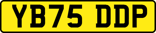 YB75DDP