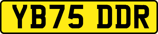 YB75DDR