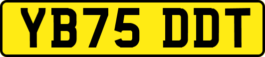 YB75DDT