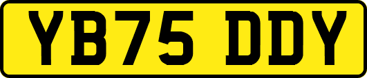 YB75DDY