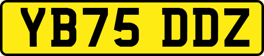 YB75DDZ
