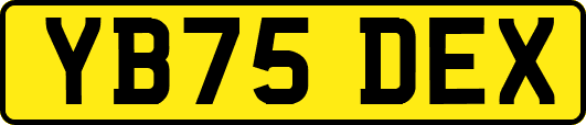 YB75DEX