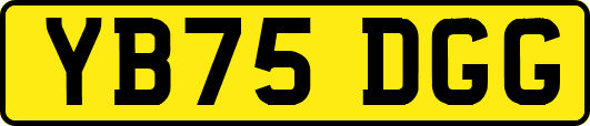 YB75DGG