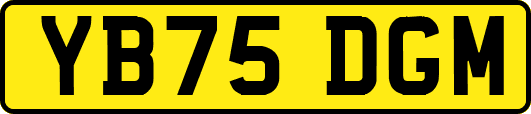 YB75DGM