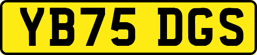 YB75DGS