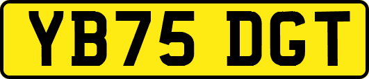 YB75DGT