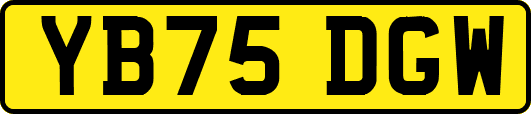 YB75DGW