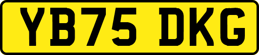 YB75DKG