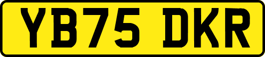 YB75DKR