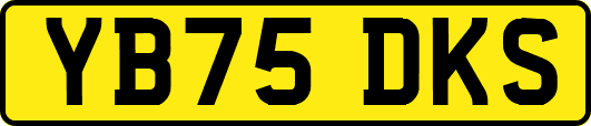 YB75DKS