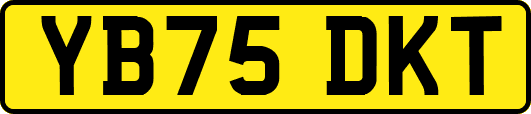YB75DKT