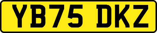 YB75DKZ