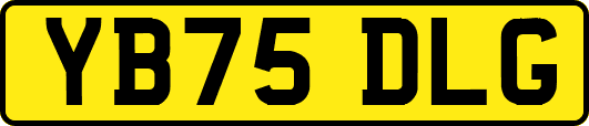 YB75DLG