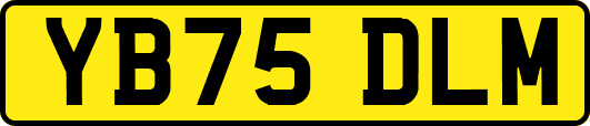 YB75DLM