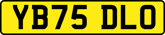 YB75DLO