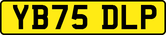 YB75DLP
