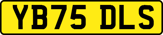 YB75DLS