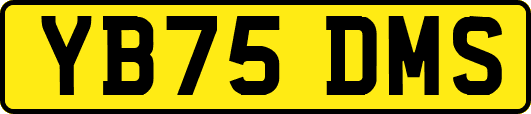 YB75DMS