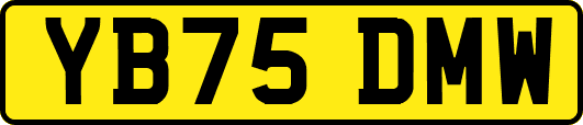 YB75DMW
