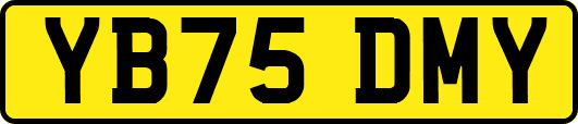 YB75DMY