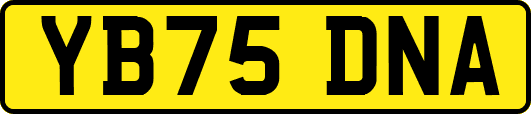 YB75DNA