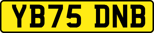 YB75DNB