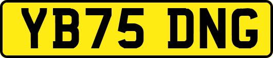 YB75DNG