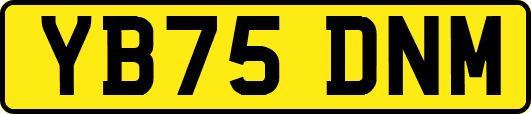 YB75DNM
