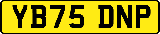 YB75DNP