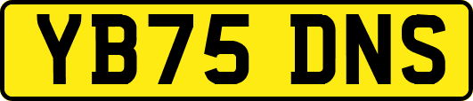 YB75DNS