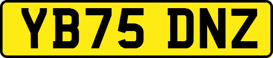 YB75DNZ