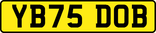 YB75DOB