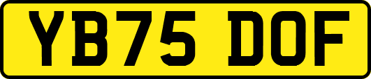 YB75DOF