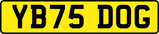 YB75DOG